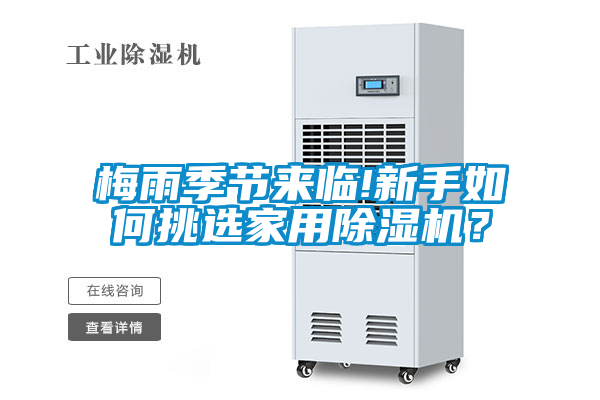 国产精品三级在线观看 梅雨季节来临!新手如何挑选家用除湿机？