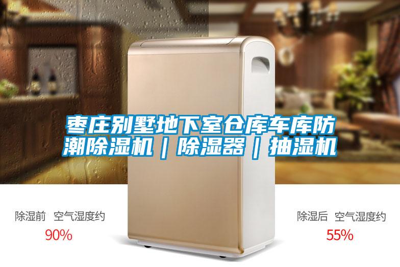 国产精品三级在线观看 枣庄别墅地下室仓库车库防潮除湿机｜除湿器｜抽湿机