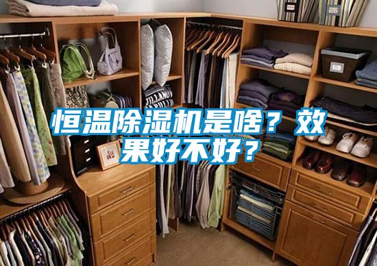 国产精品欧美激情视频 恒温除湿机是啥？效果好不好？