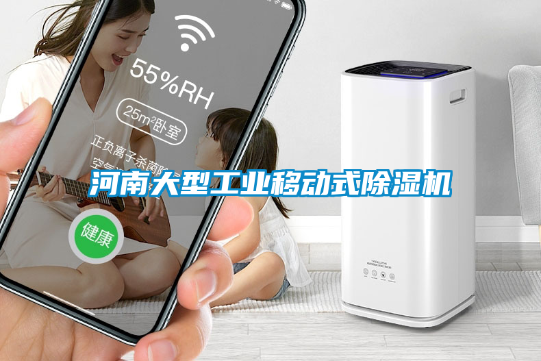 国产精品探花在线观看 河南大型工业移动式除湿机