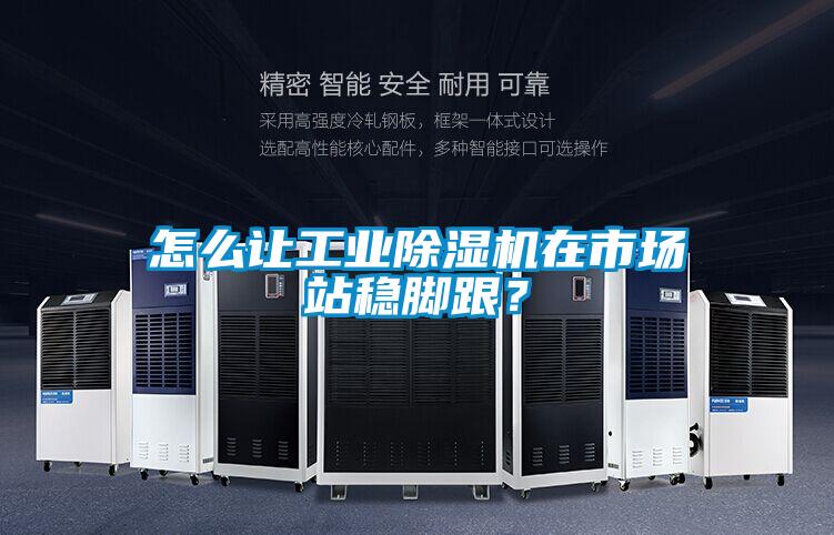 国产精品欧美激情视频 怎么让工业除湿机在市场站稳脚跟？