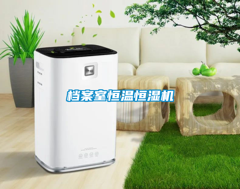 国产精品三级在线观看 档案室恒温恒湿机