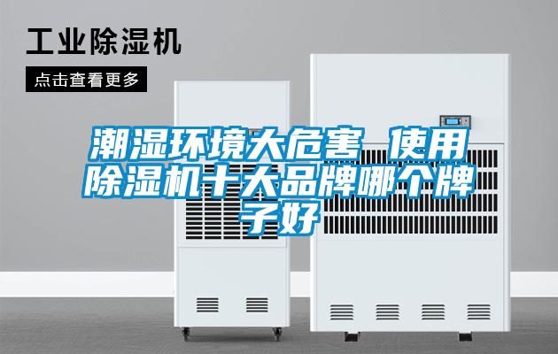 国产精品探花在线观看 潮湿环境大危害 使用除湿机十大品牌哪个牌子好