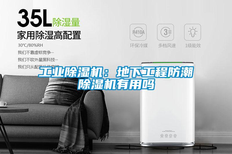 国产精品探花在线观看 工业除湿机：地下工程防潮除湿机有用吗