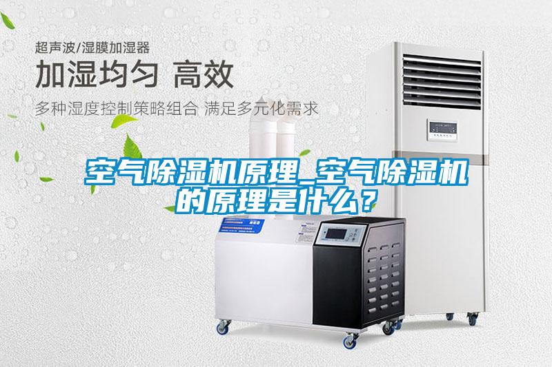 国产精品三级在线观看 空气除湿机原理_空气除湿机的原理是什么？