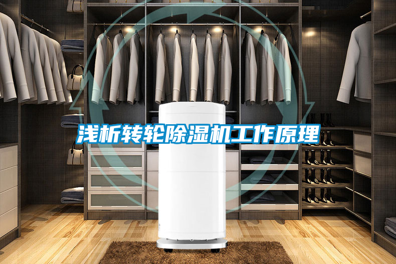 国产精品欧美激情视频 浅析转轮除湿机工作原理