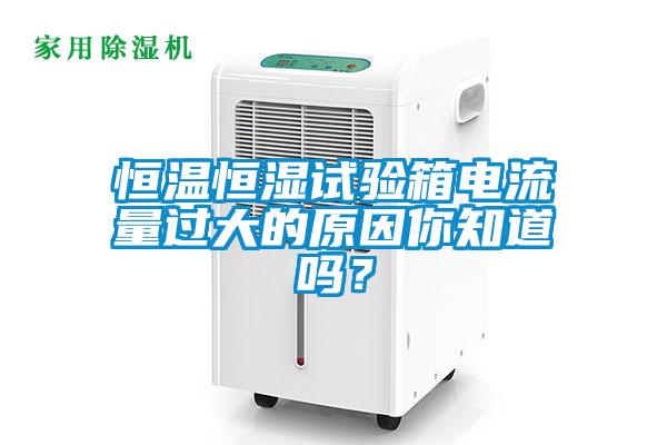 国产精品探花在线观看 恒温恒湿试验箱电流量过大的原因你知道吗？
