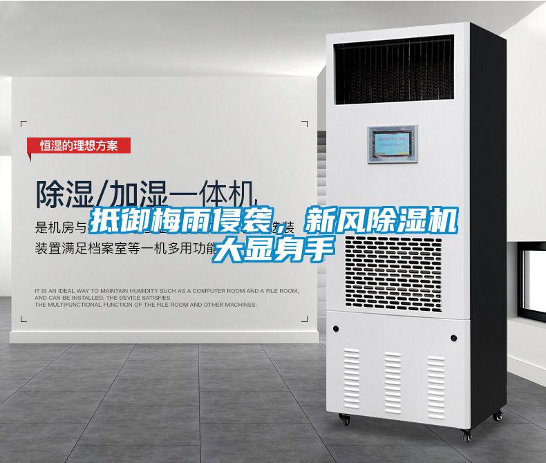 国产精品三级在线观看 抵御梅雨侵袭，新风除湿机大显身手