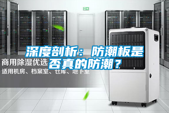 国产精品探花在线观看 深度剖析：防潮板是否真的防潮？
