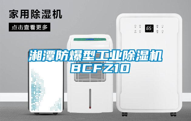 国产精品三级在线观看 湘潭防爆型工业除湿机 BCFZ10