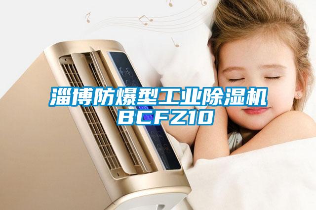 国产精品三级在线观看 淄博防爆型工业除湿机 BCFZ10