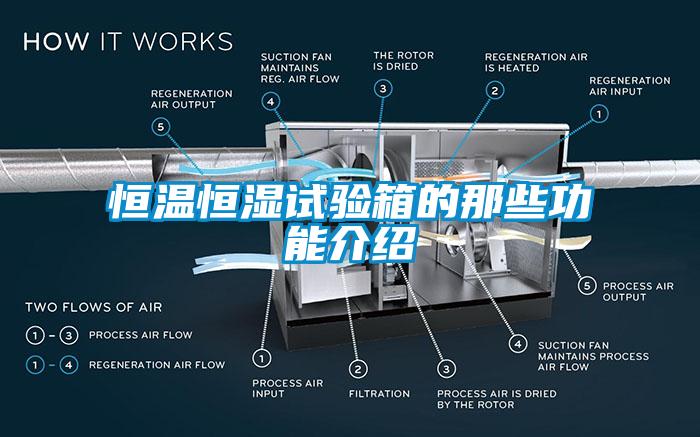 国产精品三级在线观看 恒温恒湿试验箱的那些功能介绍