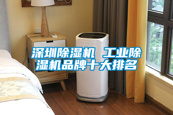 国产精品三级在线观看 深圳除湿机 工业除湿机品牌十大排名
