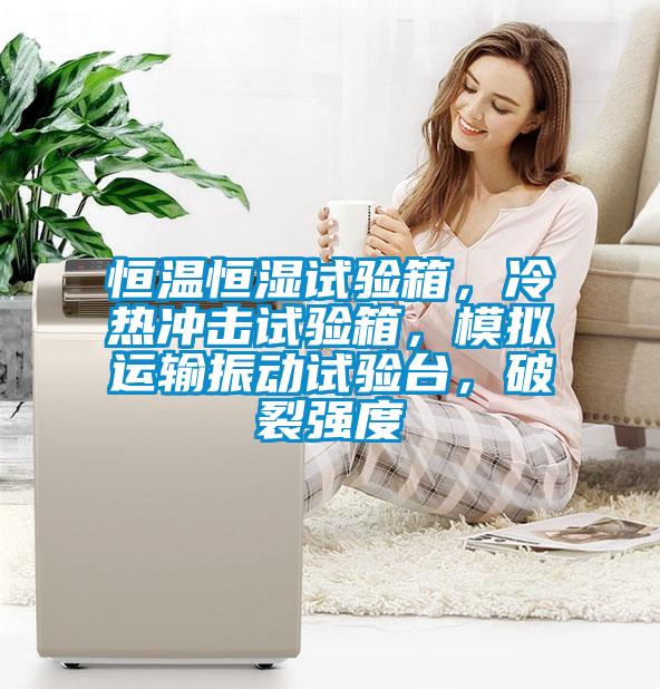 国产精品三级在线观看 恒温恒湿试验箱，冷热冲击试验箱，模拟运输振动试验台，破裂强度