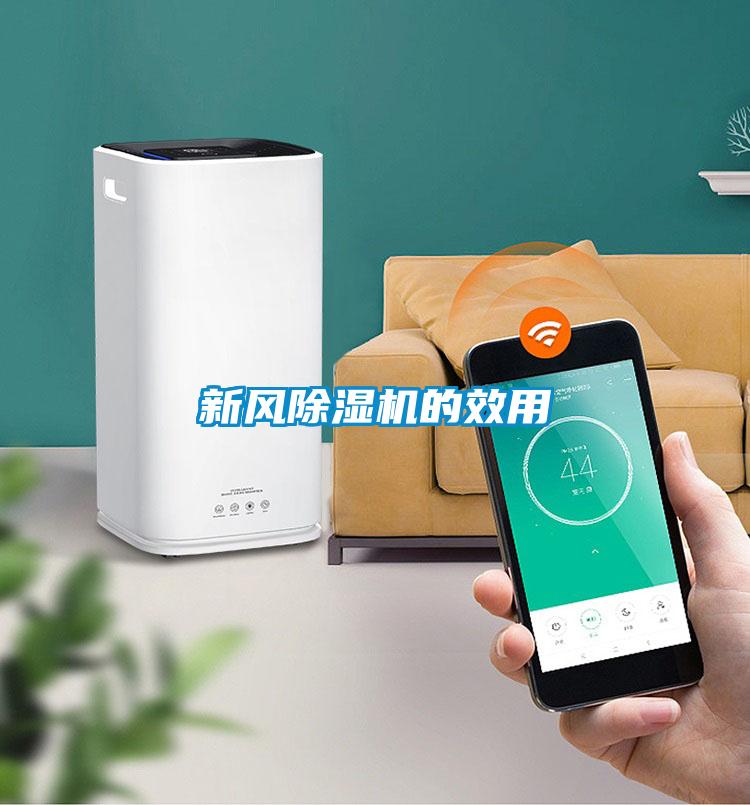 国产精品欧美激情视频 新风除湿机的效用