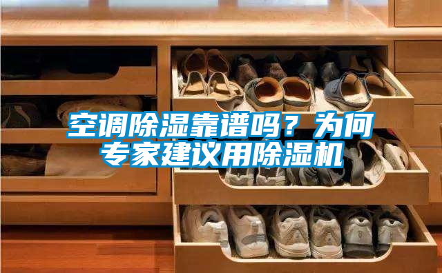 国产精品三级在线观看 空调除湿靠谱吗？为何专家建议用除湿机