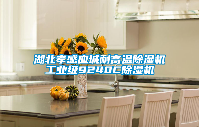 国产精品欧美激情视频 湖北孝感应城耐高温除湿机工业级9240C除湿机
