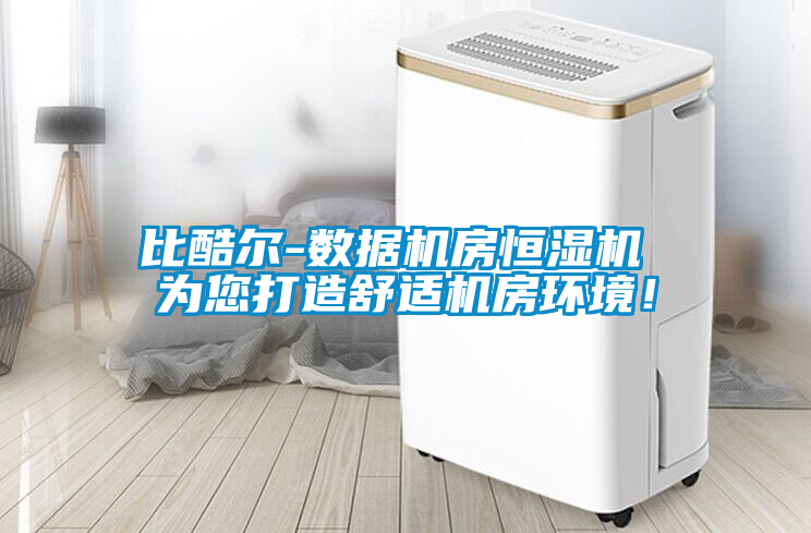 国产精品欧美激情视频 比酷尔-数据机房恒湿机 为您打造舒适机房环境！