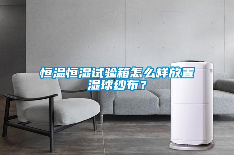 国产精品三级在线观看 恒温恒湿试验箱怎么样放置湿球纱布？