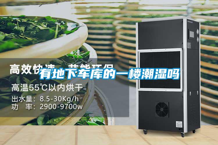国产精品三级在线观看 有地下车库的一楼潮湿吗