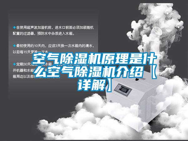 国产精品探花在线观看 空气除湿机原理是什么空气除湿机介绍【详解】