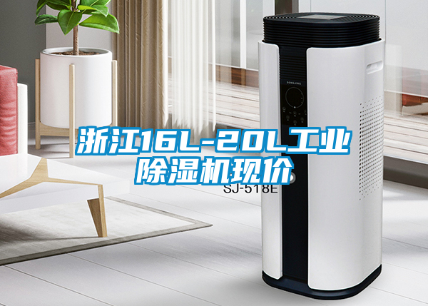 国产精品三级在线观看 浙江16L-20L工业除湿机现价