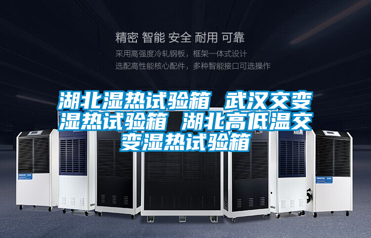 国产精品欧美激情视频 湖北湿热试验箱 武汉交变湿热试验箱 湖北高低温交变湿热试验箱