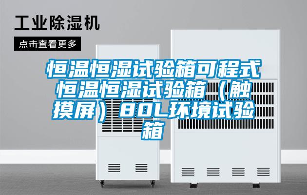 国产精品三级在线观看 恒温恒湿试验箱可程式恒温恒湿试验箱（触摸屏）80L环境试验箱