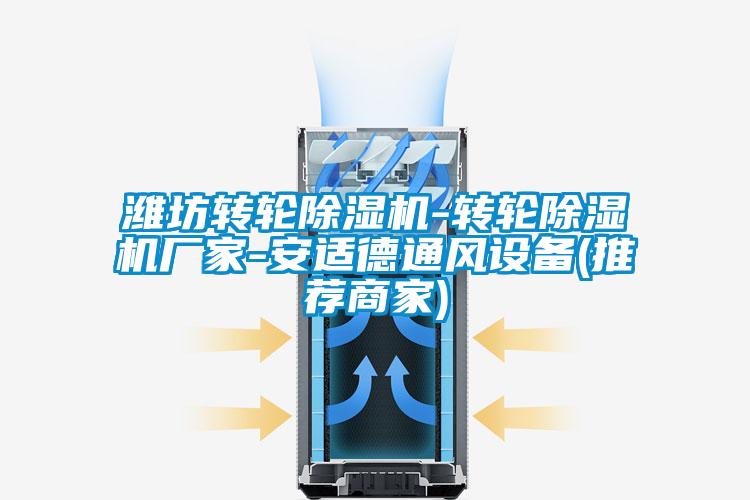 国产精品欧美激情视频 潍坊转轮除湿机-转轮除湿机厂家-安适德通风设备(推荐商家)