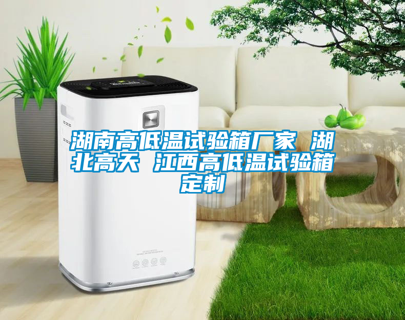国产精品三级在线观看 湖南高低温试验箱厂家 湖北高天 江西高低温试验箱定制