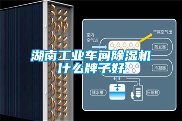 国产精品欧美激情视频 湖南工业车间除湿机什么牌子好