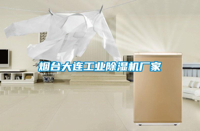 国产精品欧美激情视频 烟台大连工业除湿机厂家