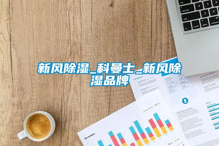 国产精品欧美激情视频 新风除湿_科曼士_新风除湿品牌