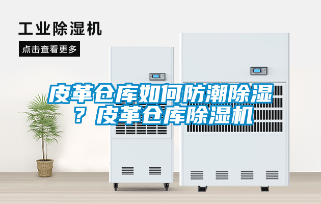国产精品欧美激情视频 皮革仓库如何防潮除湿？皮革仓库除湿机