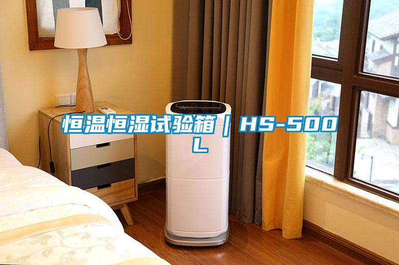 国产精品欧美激情视频 恒温恒湿试验箱｜HS-500L