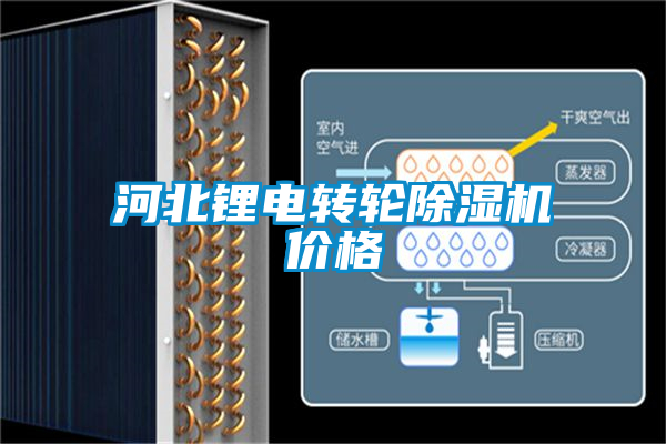 国产精品探花在线观看 河北锂电转轮除湿机价格