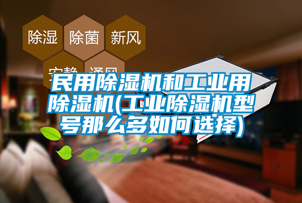 国产精品三级在线观看 民用除湿机和工业用除湿机(工业除湿机型号那么多如何选择)