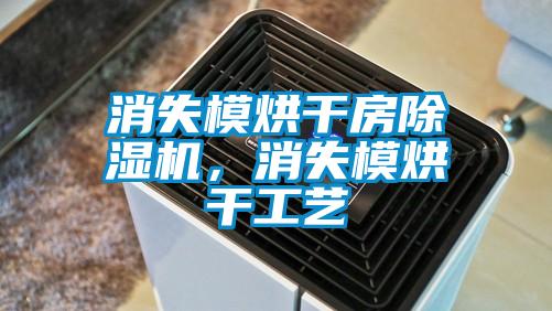 国产精品欧美激情视频 消失模烘干房除湿机，消失模烘干工艺
