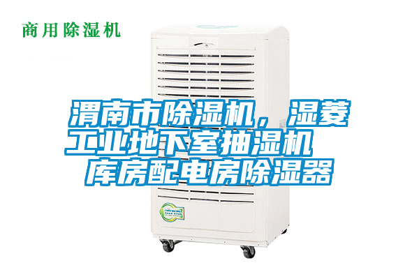 国产精品欧美激情视频 渭南市除湿机，湿菱工业地下室抽湿机  库房配电房除湿器