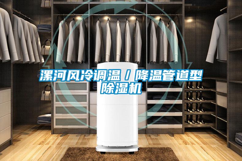 国产精品欧美激情视频 漯河风冷调温／降温管道型除湿机