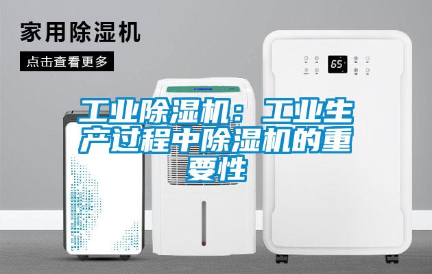 国产精品三级在线观看 工业除湿机：工业生产过程中除湿机的重要性