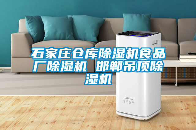 国产精品探花在线观看 石家庄仓库除湿机食品厂除湿机 邯郸吊顶除湿机