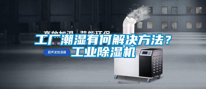 国产精品欧美激情视频 工厂潮湿有何解决方法？工业除湿机