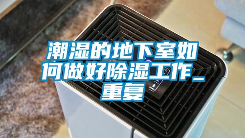 国产精品探花在线观看 潮湿的地下室如何做好除湿工作_重复