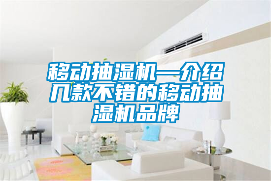 国产精品欧美激情视频 移动抽湿机—介绍几款不错的移动抽湿机品牌