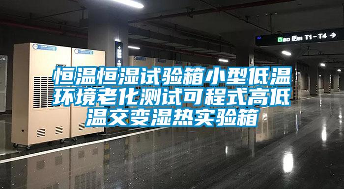 国产精品三级在线观看 恒温恒湿试验箱小型低温环境老化测试可程式高低温交变湿热实验箱