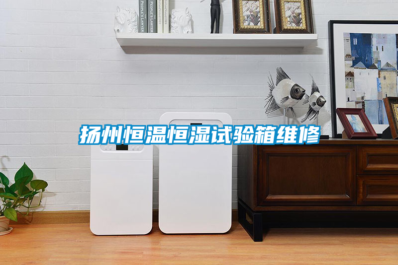 国产精品探花在线观看 扬州恒温恒湿试验箱维修