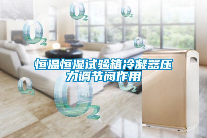 国产精品探花在线观看 恒温恒湿试验箱冷凝器压力调节阀作用