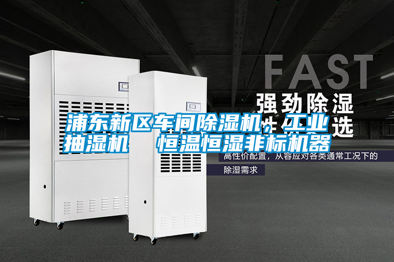 国产精品探花在线观看 浦东新区车间除湿机，工业抽湿机  恒温恒湿非标机器