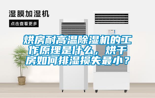 国产精品欧美激情视频 烘房耐高温除湿机的工作原理是什么，烘干房如何排湿损失最小？